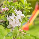 شقة Klausner التنماركت ام بوناغ